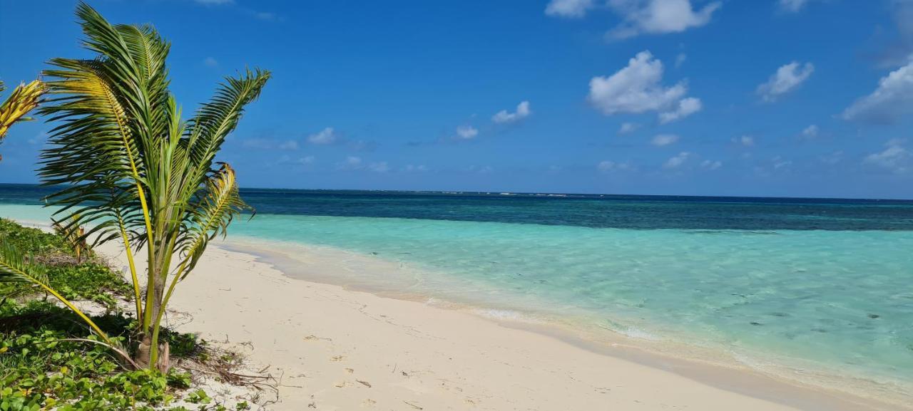 Gite Kaz A Topaze, Piscine, Jardin Tropical Sainte-Rose Eksteriør billede