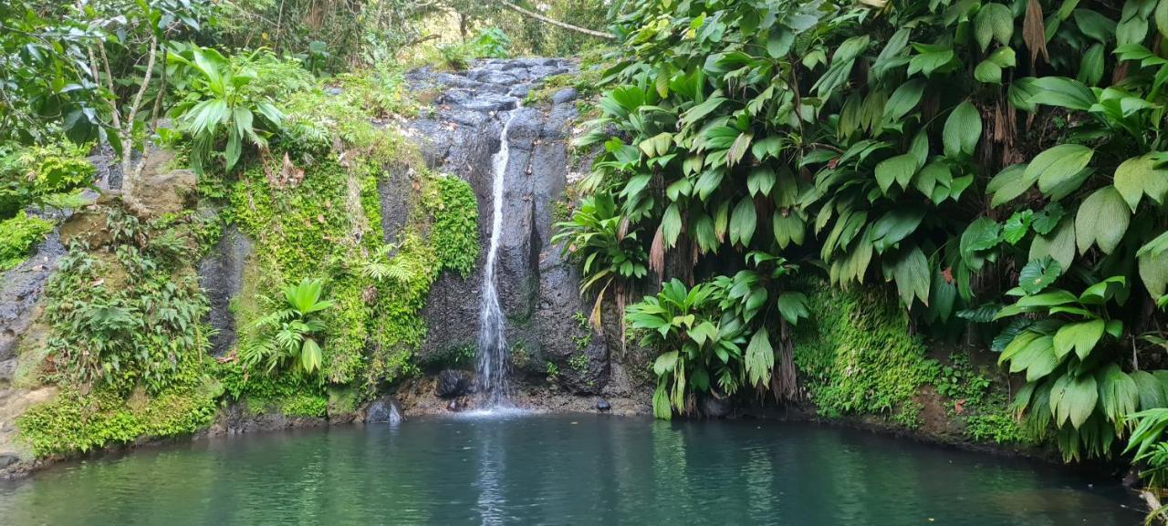 Gite Kaz A Topaze, Piscine, Jardin Tropical Sainte-Rose Eksteriør billede