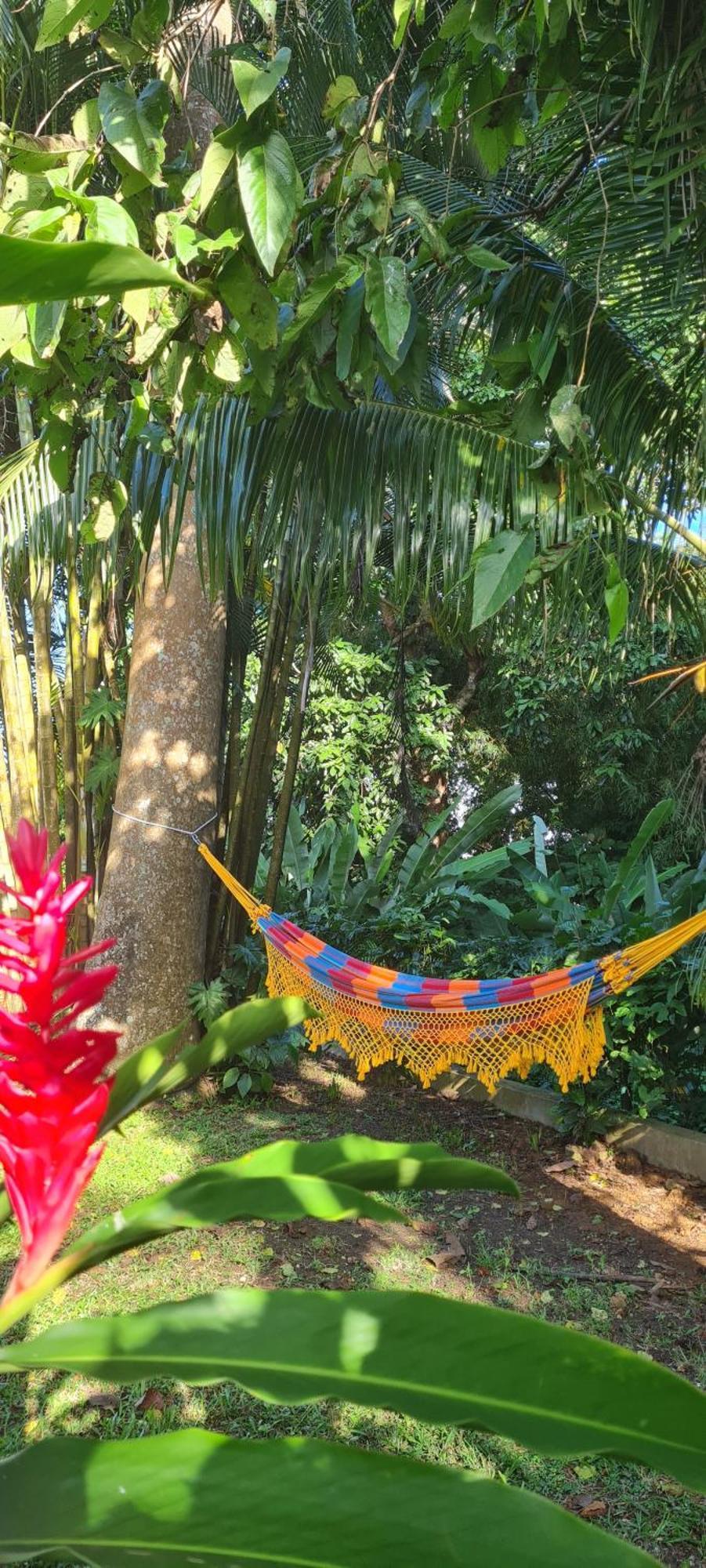 Gite Kaz A Topaze, Piscine, Jardin Tropical Sainte-Rose Eksteriør billede